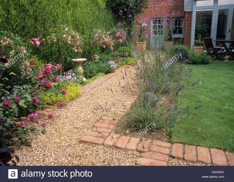 Download this stock image: Path gravel brick small back garden design lawn house border flower hedge evergreen - AGXGRJ from Alamy's library of millions of high resolution stock photos, illustrations and vectors. Small Back Garden, Small Back Gardens, Flower Hedge, Lawn Borders, Gravel Landscaping, Gravel Patio, Brick Garden, Gravel Path, Back Garden Design