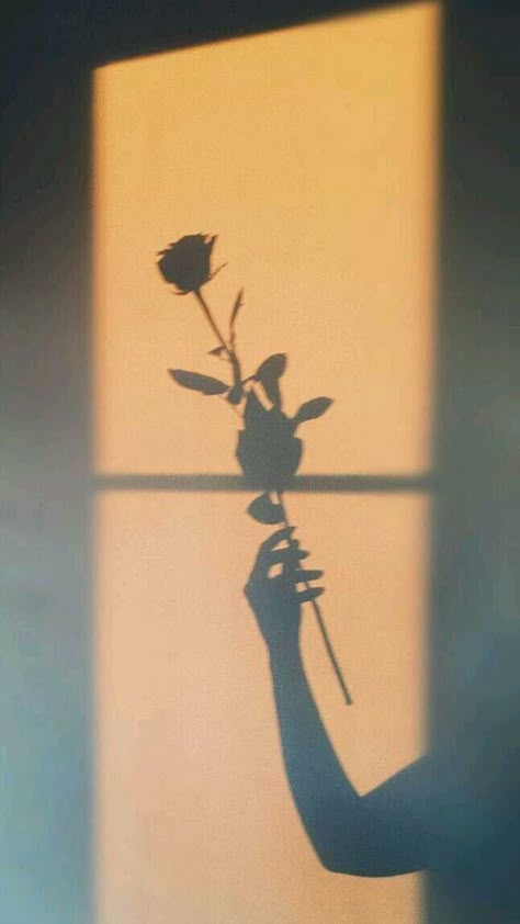 Shadow Painting, Instagram Feed Planner, Easy Photography Ideas, Anime Lock Screen Wallpapers, Aesthetic Roses, 1080p Anime Wallpaper, Flowers Photography Wallpaper, Shadow Photography, Shadow Pictures