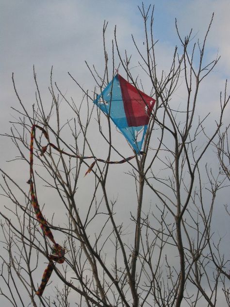 flying those plastic kites and getting them stuck in trees!! The Paper Kites Aesthetic, Kites Aesthetic, Kite Quotes, Layers Of Fear, The Paper Kites, The Kite Runner, Go Fly A Kite, Nature Art Drawings, Kite Flying