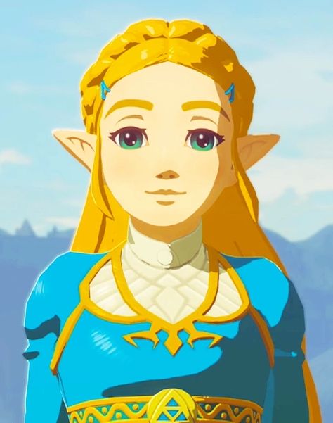 Queen Zelda, Princess Pirate, Zelda Hyrule Warriors, Zelda Drawing, Legend Of Zelda Characters, Princesa Zelda, Zelda Cosplay, Hyrule Warriors, Link Zelda