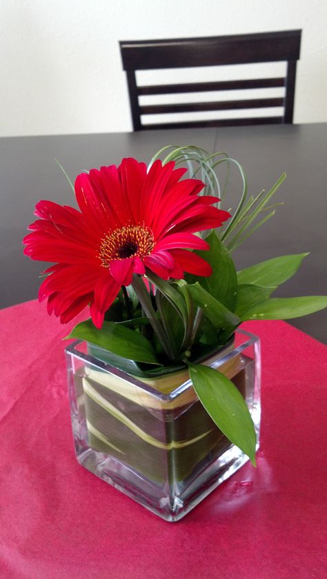 Red gerbera daisy! Daisy Wedding Decorations, Red Gerbera Daisy, Gerbera Daisy Wedding, Daisy Centerpieces, Blue Flower Arrangements, Red Gerbera, Easter Flower Arrangements, Small Flower Arrangements, Red Bouquet Wedding