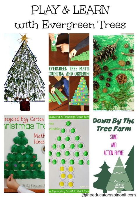 Evergreen tree Activities for Preschool Play and Learning: Preschool Tree Craft, Math Games, Science and more! Evergreen Activities For Preschool, Tree Activities For Kids, Oscar Ideas, Tree Unit, Tree Activities, Christmas Homeschool, Christmas Science Activities, Tree Life Cycle, Learning Preschool