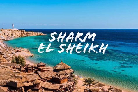 Check our Article talking about traveling to Sharm El Sheikh - Egypt Sharm Sheikh, Sharm El Sheikh Egypt, Magical Underwater, Egypt Resorts, Places In Egypt, Travel Egypt, Egypt Culture, Lala Land, Marsa Alam