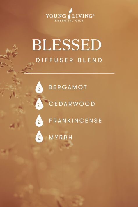 Essential Oil Perfumes Recipes, Myrrh Essential Oil, Essential Oil Combinations, Essential Oil Diffuser Blends Recipes, Young Living Essential Oils Recipes, Essential Oils Guide, Essential Oil Diffuser Recipes, Oil Diffuser Recipes, Yl Essential Oils