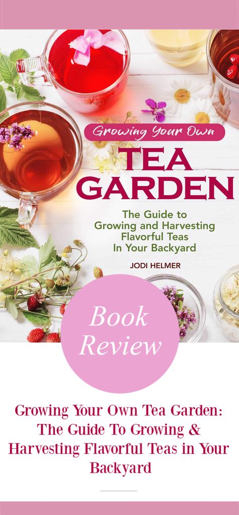 Curious about growing your own tea at home in your own garden? See what we think of Growing Your Own Tea Garden here! Sleepytime Tea, Tea Plants, Allotment Ideas, Herbal Tea Garden, Interesting Books, Tea Plant, Health Tea, Perfect Cup Of Tea, Boost Immunity