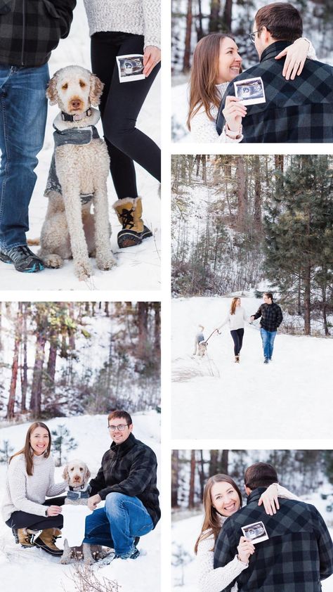 Winter Maternity Photoshoot With Dog, Winter Pregnancy Photoshoot Announcement, Pregnancy Announcement Photoshoot With Dog, Snowy Pregnancy Announcement, Snow Pregnancy Announcement, Pregnancy Announcement Photos With Dogs, Snow Baby Announcement, Ideas For Pregnancy Announcement, January Pregnancy Announcement