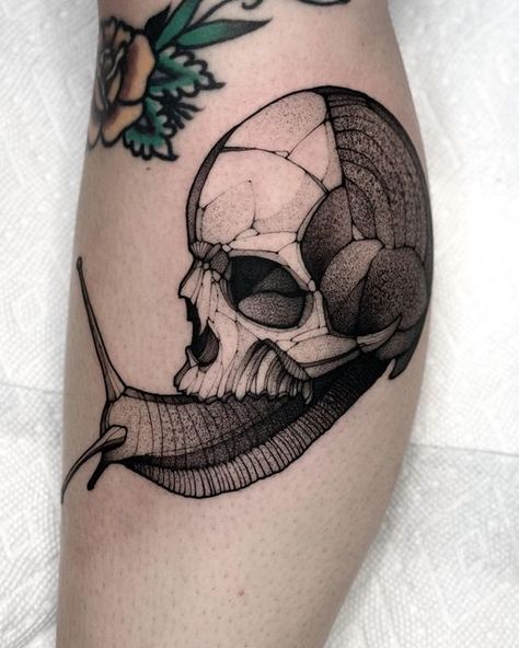 Skull Snail, Snail Tattoo, Bug Tattoo, Dot Work Tattoo, Dark Tattoo, Human Skull, Skull Tattoos, Milwaukee Wi, Animal Skulls