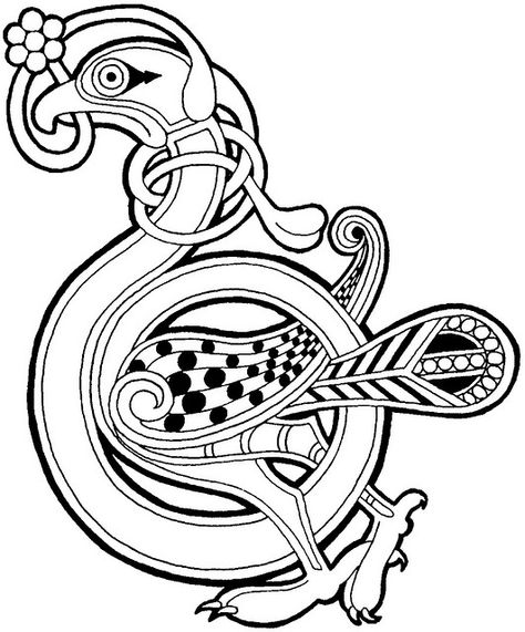 Celtic bird Celtic Bird Design, Celtic Designs Tattoo, Germanic Art, Celtic Bird, Sca Illumination, Celtic Images, Celtic Animals, Norse Design, Celtic Pride