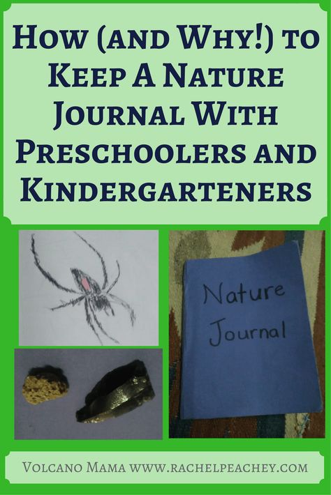 Nature Journalling Nature Kindergarten, Pre Writing Activities, Forest School, Preschool Curriculum, Outdoor Learning, Education Design, Nature Study, Nature Activities, Nature Journal