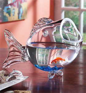 Decorate House, Fancy Fish, Glass Fish Bowl, Fish Bowls, Cool Fish Tanks, Deco Marine, Goldfish Bowl, Girls Playroom, زجاج ملون