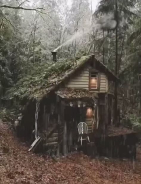 Moments & memories on Twitter: "Imagine being here right now… " Rainy Cabin, Rainy Fashion, Rainy Aesthetic, Supraviețuire Camping, Old Cabin, Forest Cottage, Forest Cabin, Crochet Aesthetic, Cottage In The Woods