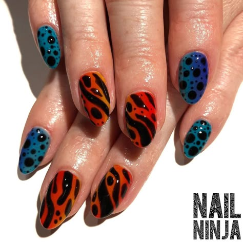 Poison Frog Nails, Poison Dart Frog Nails, Poison Nails, Reptile Nails, Frog Nails, Poison Dart Frog, Dart Frogs, Poison Dart, Nail Goals