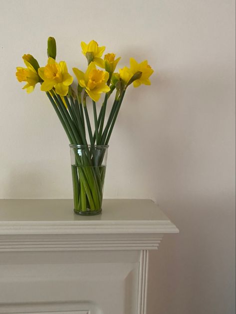 Vase Of Daffodils, Yellow Daffodils Aesthetic, Daffodils In Vase, Lindsay Core, Bouquet Of Daffodils, Daffodil Wedding, Daffodil Bouquet, March Baby, Flowers Photography Wallpaper