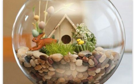 Bunny fish bowl Easter Terrarium, Terrarium Diy, Terraria, Decoration Originale, Spring Holidays, Easter Time, Cactus Y Suculentas, Deco Floral, Easter Holidays