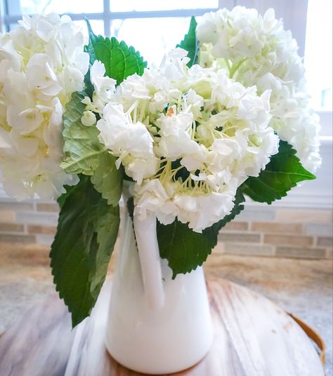 How to Revive Wilted Hydrangeas - South Lumina Style Wilted Flowers, Hydrangea Petals, Succulent Garden Indoor, Hydrangea Garden, Easy Drink Recipes, Indoor Plant Care, Fresh Cut Flowers, Rainbow Sprinkles, Throw Pillows Christmas