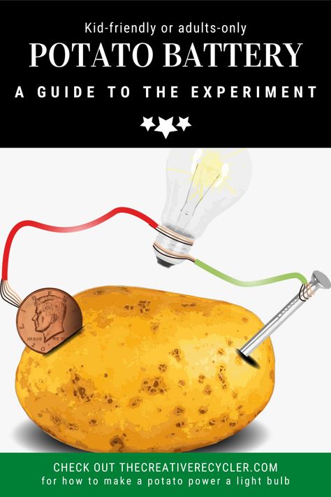 Have you ever heard of powering a light bulb using a potato? If you haven’t and you or your children are fascinated by the very idea, you definitely should have a go at it. Fortunately, it’s fairly simple to do and doesn’t even require much equipment! a guide to the potato light bulb experiment You can do this at home and talk your child through the science of it. #experiment #potato #experiment Potato Power Science Fair Project, Household Science Experiments, Potato Science Experiment For Kids, Potato Electricity Experiment, Potato Stem Activities, Battery Experiments For Kids, Potato Light Bulb Experiment, Potato Light Bulb, Potato Battery Science Project