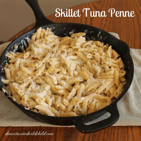 Pasta Entrees, Penne Pasta Recipes, Tuna Casserole Recipes, Healthy Tuna, Skillet Dishes, Tuna Casserole, Quick Dishes, Meatless Main Dishes, Skillet Dinners