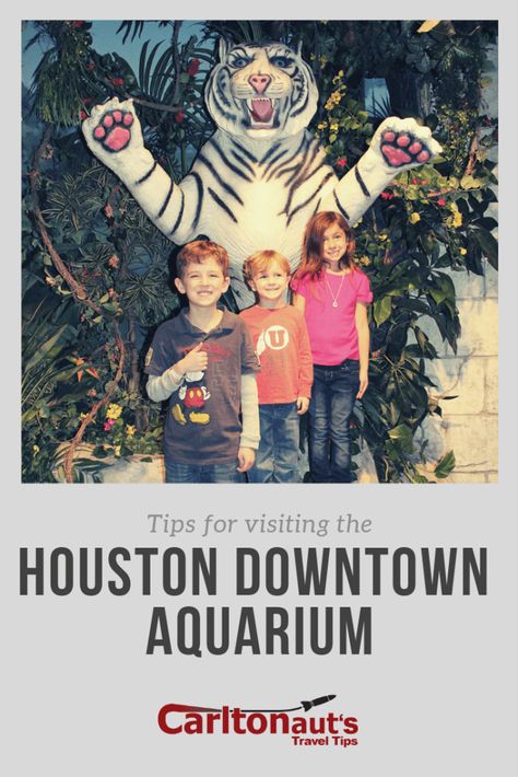 Tips for Visiting the Houston Downtown Aquarium - Carltonaut's Travel Tips Houston Aquarium, Aquarium Tips, Sharks Scary, Giant Pacific Octopus, Tiger Walking, Giant Lollipops, Louisiana Swamp, Houston Skyline, Train Tour