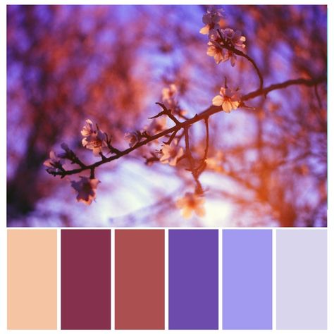 Lilac Bedroom, Bedroom Purple, Purple Bedroom, Boys Rooms, Bathroom Red, Bright Homes, Apartment Style, Lilac Color, Purple Orange