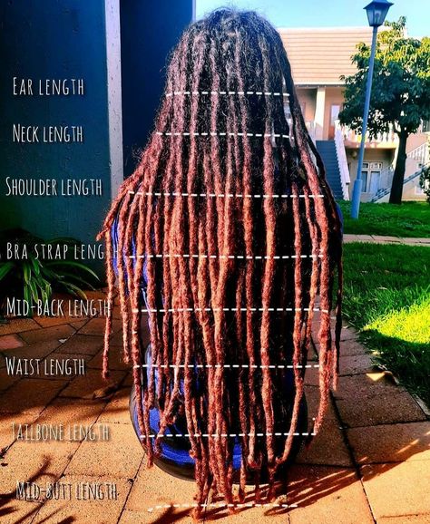 Different Stages Of Locs, Waist Length Locs Black Women, Types Of Dreads For Women, Bra Length Loc Styles, Locs Shoulder Length, Hairstyles For Shoulder Length Locs, Bra Strap Length Locs, Shoulder Length Locs Black Women, Loc Hairstyles For Women Shoulder Length