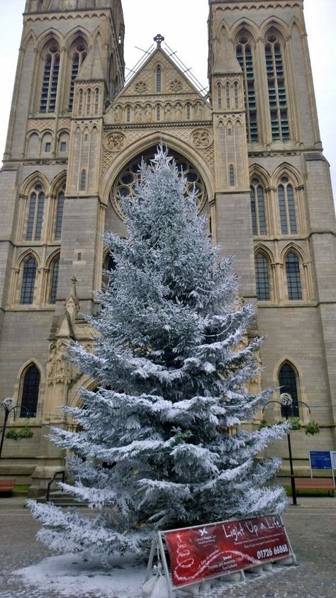 Truro Cathedral Truro Cornwall, Truro Cathedral, Truro, Cornwall, Christmas Tree, Holiday Decor, Christmas, Home Decor