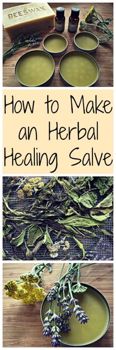 How to Make an Herbal Salve~ With healing herbs you can find in your yard! www.growforagecookferment.com Lavender Salve, Salve Recipes, Herbal Salves, Healing Salves, Herbal Healing, Healing Herbs, Natural Home Remedies, Medicinal Herbs, Natural Home