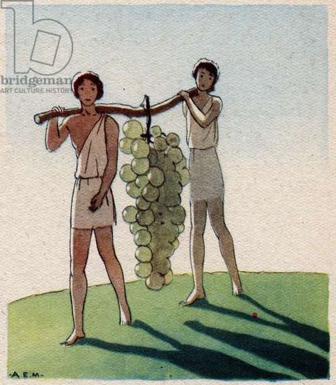 The return of Josue and Caleb with a huge bunch of grapes from the land of Canaan (Promised Land) Plate taken from “The holy life”” illustrated by Andre edouard (AE) Marty (1882-1974) 1938 - “The return of Joshua and Caleb of Canaan (the Promised Land) with a bunch of grapes” Illustration by AE Marty from “La vie sainte”, 1938 - Private collection Exodus Aesthetic, Grapes Illustration, Joshua And Caleb, Bunch Of Grapes, Bible Quotes Telugu, Bible Words Images, Quotes Telugu, Bible Characters, Promised Land