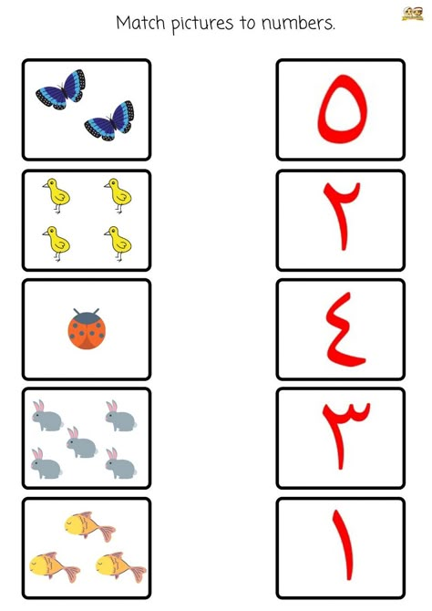 Math Worksheets For Kindergarten, Arabic For Kids, Numbers Worksheet, Alphabet Worksheets Kindergarten, Arabic Alphabet Letters, Islamic Kids Activities, Arabic Numbers, Preschool Math Worksheets, Arabic Worksheets