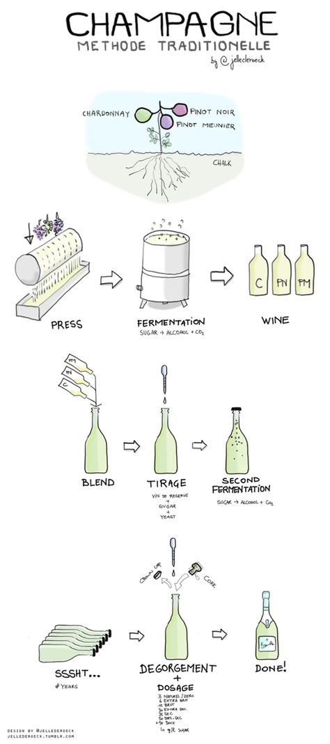 如何製成香檳 • How Champagne is made.  |  17個豪飲圖表，使一切更簡單 • 17 Booze Charts To Make Everything Easier Wine Facts, Wine Folly, Wine Press, Wine Knowledge, Wine Expert, Wine Education, Champagne Bubbles, Wine Event, Wine Guide