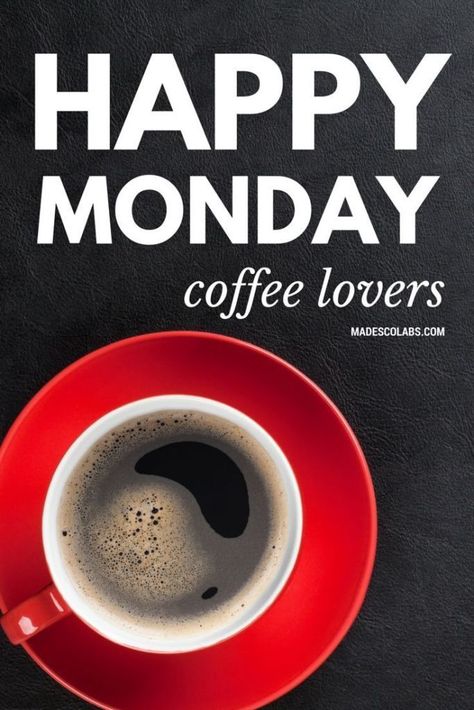 Happy Monday Coffee Lovers monday good morning monday quotes happy monday good morning monday Monday Coffee Meme, Monday Coffee Quotes, Happy Monday Coffee, Coffee Monday, Funny Monday, Monday Coffee, Coffee Meme, Coffee Geek, Good Morning Coffee Images