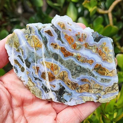 Brecciated Jasper, Rocks And Fossils, Hag Stones, Plume Agate, Magic Stones, Rock Minerals, Pretty Rocks, Cool Rocks, Beautiful Rocks