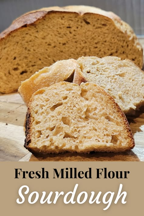 a fresh milled flour sourdough bread loaf boule cut into slices, showing the inside crumb texture of the bread, text below reads "Fresh Milled Flour Sourdough" Sour Dough With Fresh Milled Flour, Fresh Milled Sourdough Starter, Fmf Sourdough Recipe, Milled Flour Sourdough, Fresh Milled Flour Sourdough Bread Recipe, Sourdough Bread With Fresh Milled Flour, Sunrise Flour Mill Recipes, Freshly Milled Sourdough Bread, Sourdough With Fresh Milled Flour