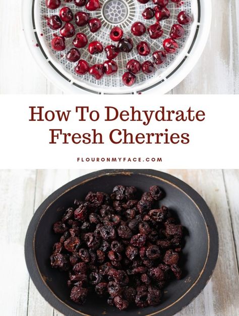 How to dehydrate fresh cherries. How To Preserve Cherries, Dehydrating Cherries, Dehydrated Cherries, Dehydrate Recipes, Dehydration Recipes, Dehydrator Ideas, Dehydrating Fruit, Dehydrated Recipes, Cherry Recipe