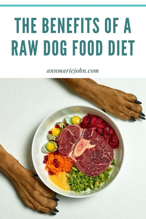 Raw Dog Food Diet Living In My Car, Dog Raw Diet, Raw Dog Food Diet, Raw Dog Food, Healthy Dog Treats Homemade, Natural Dog Food, Raw Dog Food Recipes, Raw Diet, Dog Nutrition