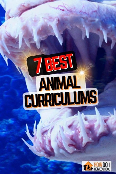 Kids love animals, so why not get them one of the BEST Animal Science Homeschool Curriculums (Grades K-12) #homeschoolcurriculum #schoolhouseteachers #apologia #masterbooks Science Homeschool, Homeschool High School Curriculum, Biology Textbook, Homeschool Science Curriculum, Veterinary Studies, Auditory Learners, Charlotte Mason Homeschool, Scripture Memorization, Student Notebooks