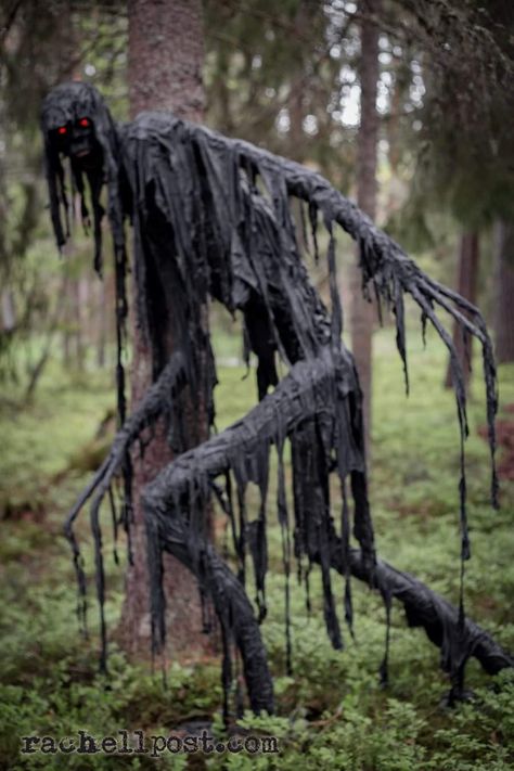 Halloween Coven Decorations, Haunted Forest Halloween Party, Diy Halloween Trail Ideas, Spooky Trail Ideas, Haunted Graveyard Ideas, Scary Decorations Horror, Halloween Forest Decorations, Haunted Graveyard Decorations, Haunted Forest Party