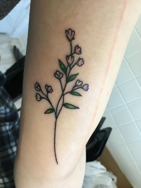 Simple babys breath by Vincent at Stay Gold Tattoo Studio in 5 Points South (Birmingham AL) #tattoos #tattoo #beauty Babys Breath Tatoos, Lacey Tattoos, Traditional Tattoo Baby, Baby's Breath Drawing, Baby Breath Tattoo, Stay Gold Tattoo, Breath Tattoo, Aa Tattoos, Tattoo Fixes