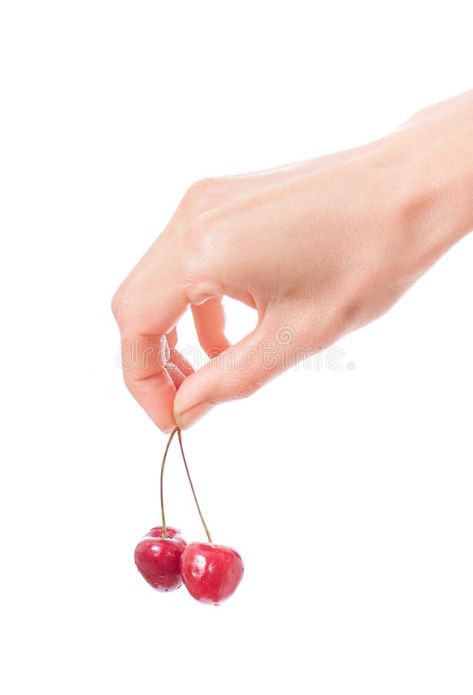 Hand holding two cherries on white background royalty free stock photos Fresh Cherries, Hand Holding, Free Stock Photos, Holding Hands, White Background, Photo Image, Hold On, Vector Free, Royalty Free Stock Photos