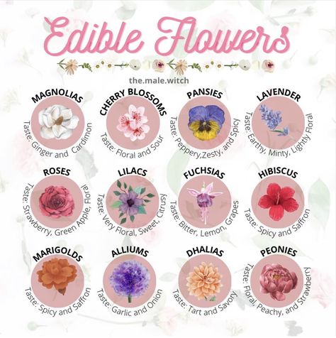 Food Safe Flowers For Cake, Flowers You Can Eat, Recipes With Flowers, Flower Season Mood Food, Witchy Garden Party, Flower Drinks, Edible Flower Garden, Flower Recipes, Edible Flowers Recipes