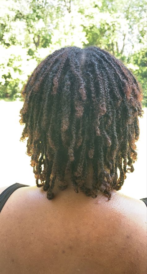 Braids as starter locs. One month into the journey . Look at the texture ! Braided Starter Locs, Braid Starter Locs, Braid Locs Starter, Braid Locs, Dread Braids, Beautiful Locs, Starter Locs, Dread Hairstyles, Locs Hairstyles