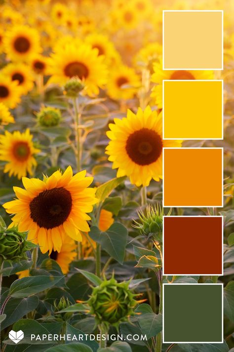 Yellow Green Brown Red Color Palette, Sunflower Pallet Color, Red And Yellow Interior Design, Sunflower Color Pallete, Sunflower Color Scheme, Sunshine Colour Palette, June Colour Palette, Color Pallets With Yellow, Sunflower Colour Palette