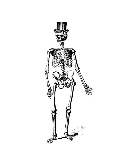 It's not spooky season, but elegant Mr. Skeleton is ready to go into town! A funny black and white skeleton in top-hat aka not so scary halloween... Skeleton With Top Hat Tattoo, Skeleton With Coffee Tattoo, White Skeleton Wallpaper, Skeleton With Top Hat, Skeleton Top Hat, Skeleton Black And White, Dapper Skeleton, Skeleton Hat, Cool Skeleton