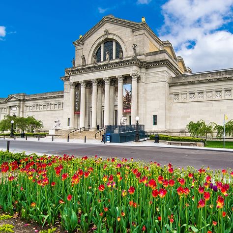 The Saint Louis Art Museum is one of the best art museums in the United States, which is known for its comprehensive collection spanning 5,000 years of cultures and genres. Learn about this amazing museum on our blog. Saint Louis Art Museum, St Louis Art Museum, St Louis Art, Art Museums, National Gallery Of Art, European Art, The Saint, Art Institute Of Chicago, Egyptian Art