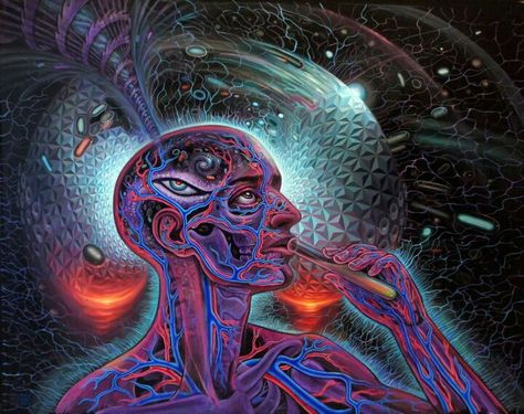 Alex Grey Alex Gray Art, Grey Artwork, Soul Tattoo, Alex Grey, Psy Art, Grey Painting, Grey Art, Beastie Boys, Visionary Art