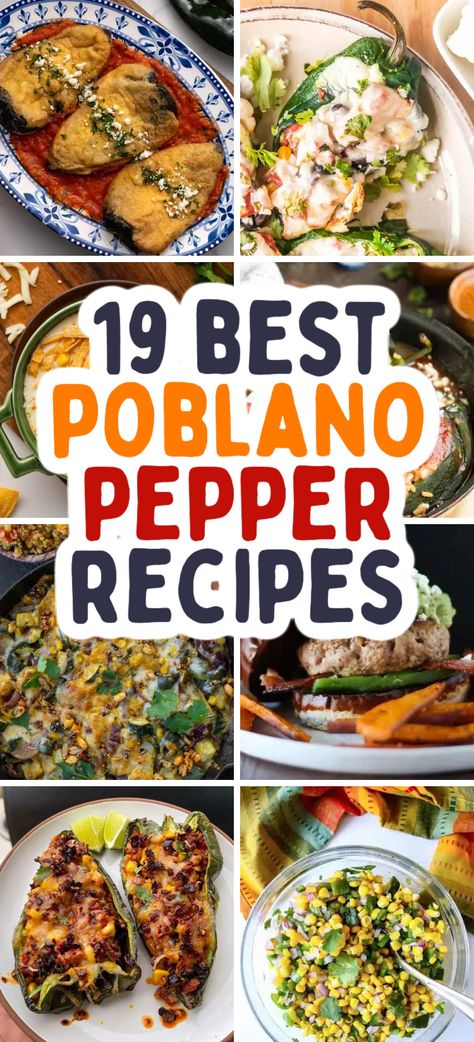 These poblano pepper recipes are all perfectly delicious and an awesome way to use up a harvest. From stuffed poblanos to soups, you’ll have no problem finding your next favorite weeknight meal. Poblano Pepper Chili, Stuffed Peppers Poblano, Recipes Poblano Peppers, Relleno Pepper Recipes, Stuffed Relleno Peppers, How To Cook Poblano Peppers, How To Use Poblano Peppers, Recipes With Poblano Peppers Dinners, What To Make With Poblano Peppers