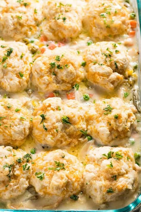 Cheddar Biscuit Chicken Pot Pie Casserole Chicken Pot Pie Dinner, Pot Pie Dinner, Chicken Biscuit Casserole, Brunch Casseroles, Cheddar Biscuit, Biscuit Chicken Pot Pie, Biscuit Casserole, Chicken Biscuit, Creamy Chicken Pot Pie