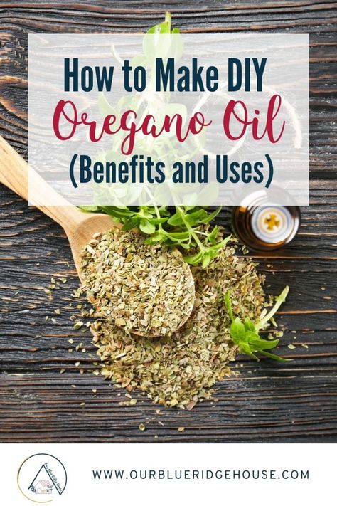 How to Make DIY Oregano Oil (15 Benefits and Uses) - Our Blue Ridge House Diy Oregano Oil, Oil Of Oregano, Oregano Oil Benefits, Herbal Medicine Recipes, Herbal Remedies Recipes, Oregano Essential Oil, Medicinal Herbs Garden, Medical Herbs, Oregano Oil