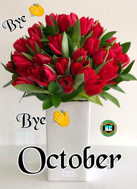 Good Bye October, Bye October, Happy Good Morning Quotes, Good Bye, Bye Bye, Morning Quotes, Good Morning Quotes, Good Morning, Birthday