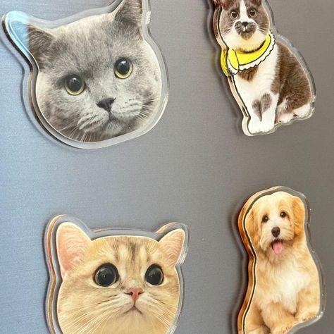 🎀Custom Made Dog/Cat Fridge Magnets 
🌟Perfect Gift... - Depop Us Pictures, Fridge Magnets, Dog Cat, Custom Made, Magnets, Perfect Gift, Dogs, Gifts