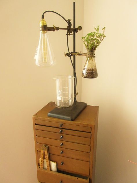 Chemistry Home Decor, Chemistry Room Decor, Biology Room Decor, Vintage Science Aesthetic, Industrial Chemistry, Science Room Decor, Academia Aesthetic Room, Lab Science, Science Room